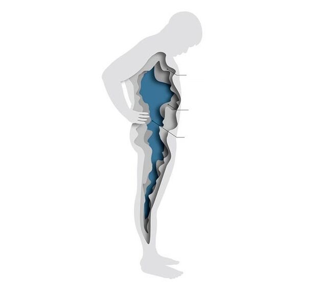 hormones et surpoids